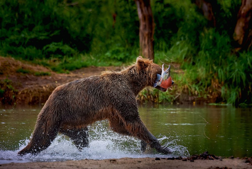 Photograph by михаил скворцов