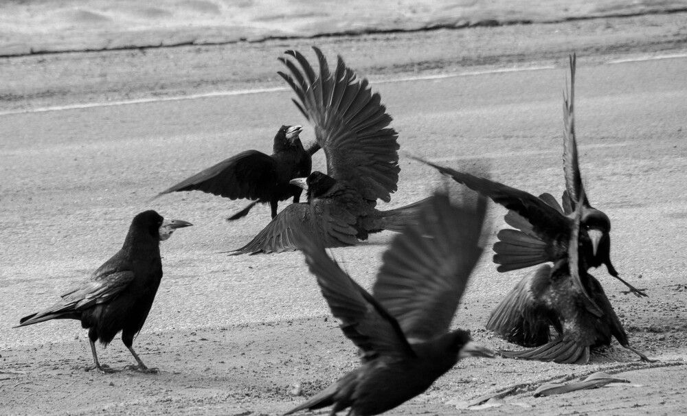 Photograph by Светлана Гаврикова