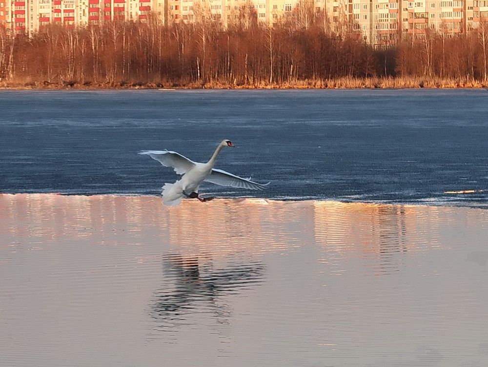 Photograph by Нина