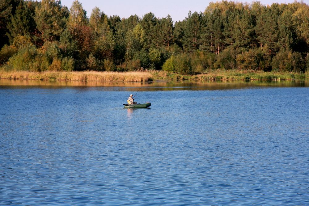 Фотография автора Nelya  Lysenko