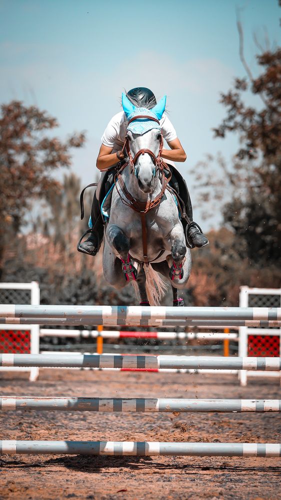 Photograph by Amin Zamanian