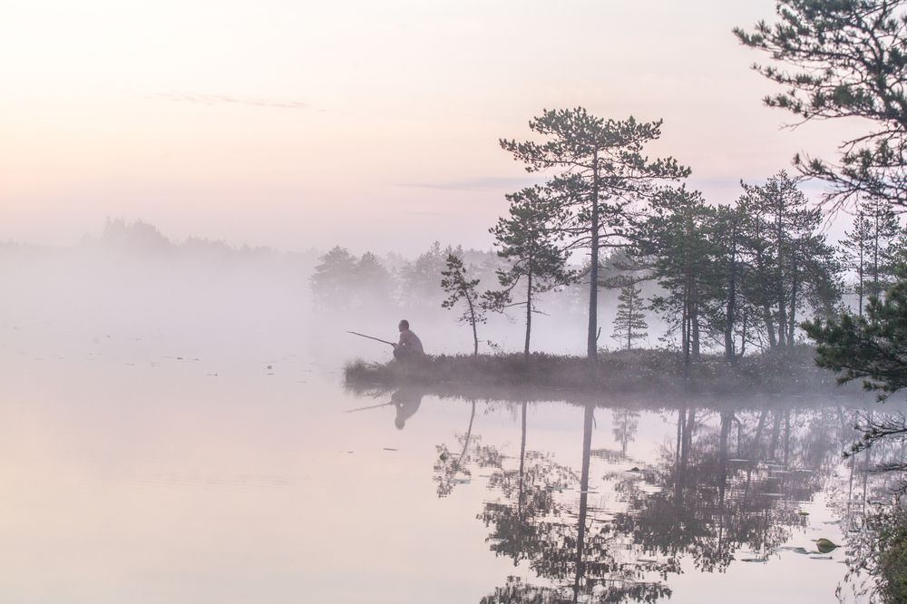 Photograph by Александр Кропп