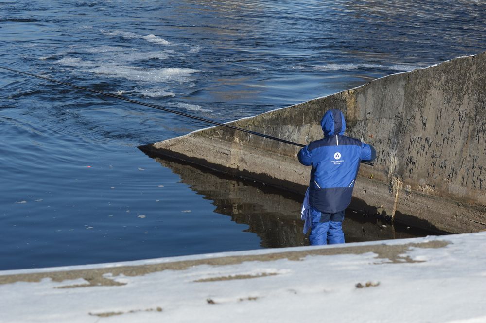Фотография автора Елена Максимова