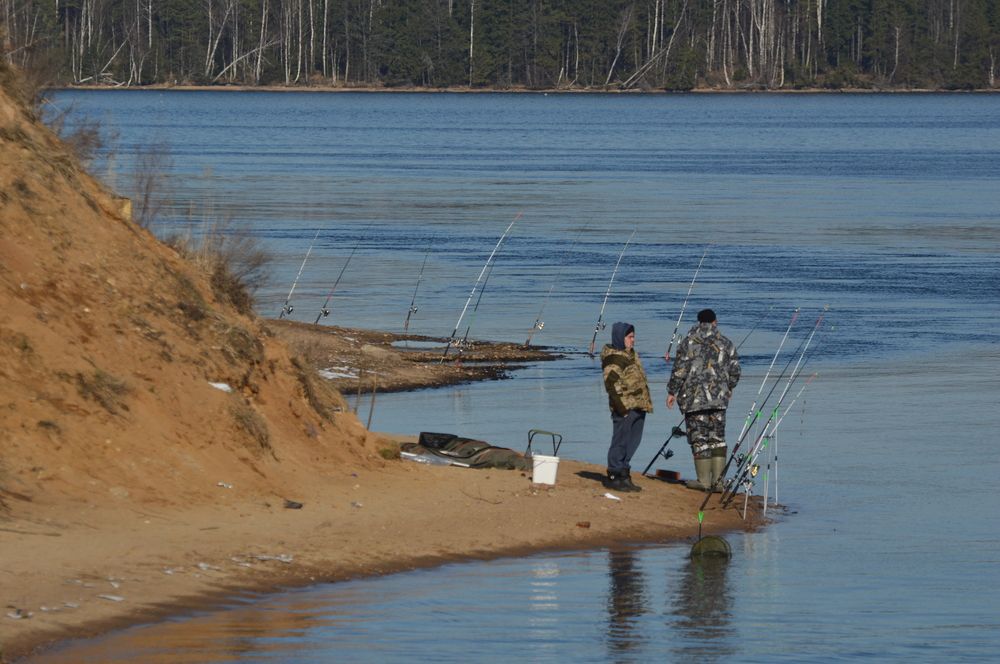 Фотография автора Елена Максимова