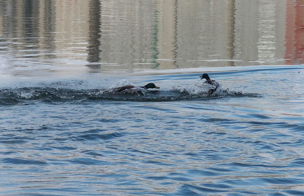 Photograph by Нина