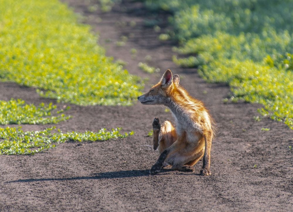 Photograph by Алексей Сиваков