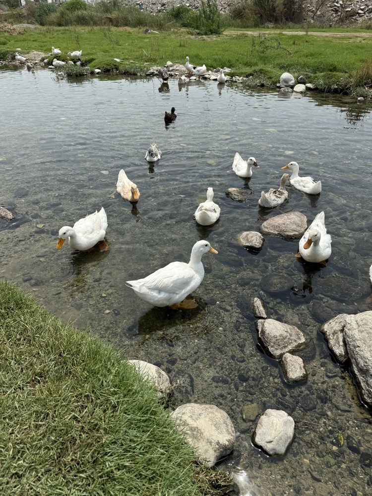 Photograph by Waleed Yousuf Alwahaibi