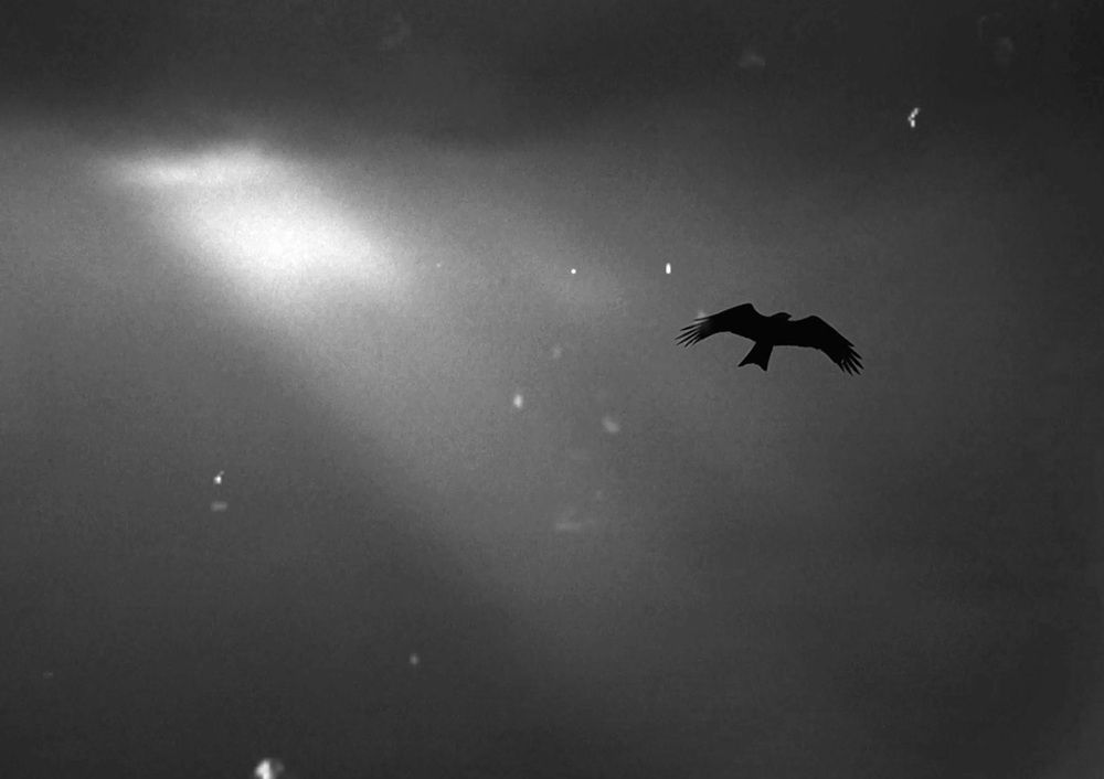 Photograph by Вадим Перминов