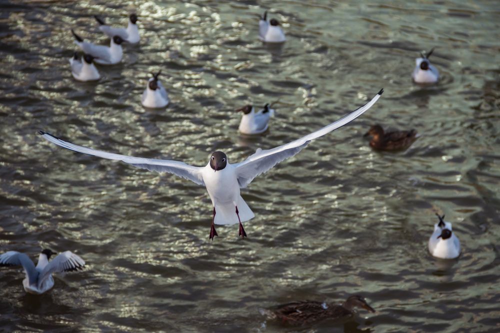 Photograph by Вадим Перминов
