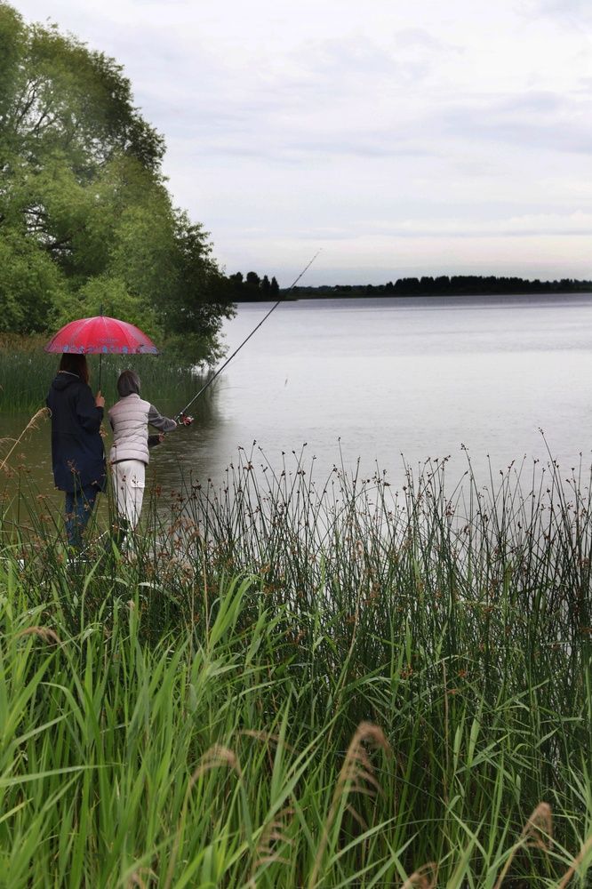 Photograph by Елена Тимченко