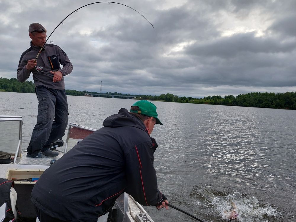 Photograph by Елена Тимченко