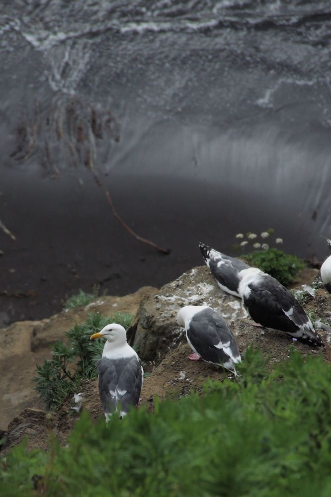 Фотография автора Эльза Завьялова