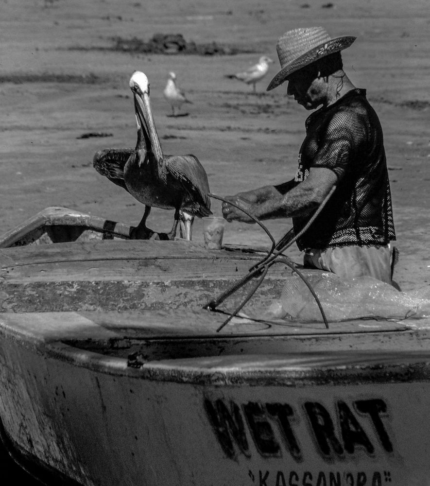 Photograph by Gustavo Bernal