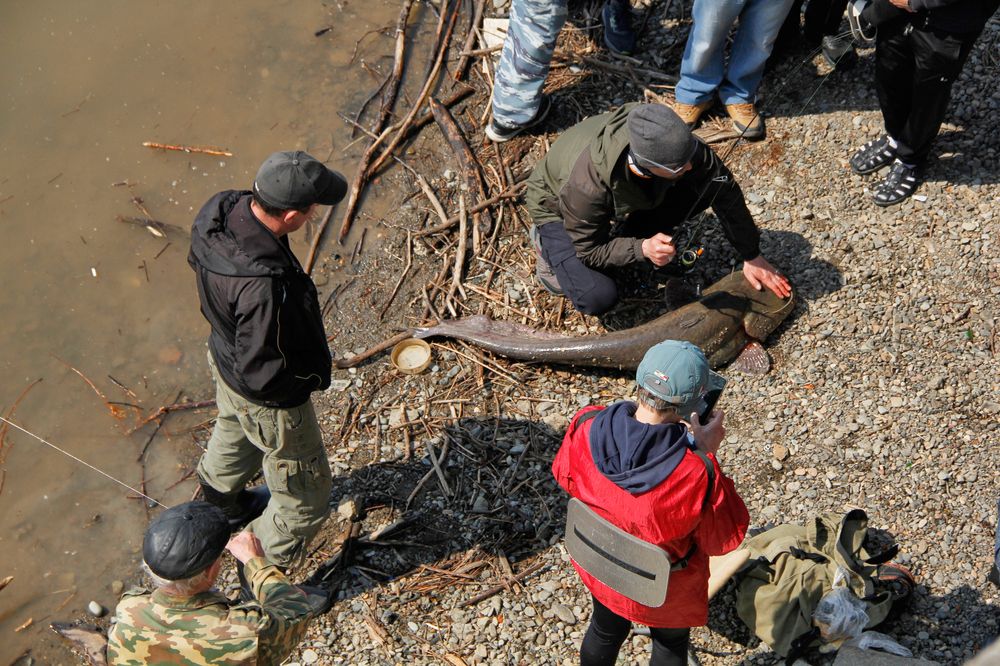 Фотография автора Наталия Мащенко