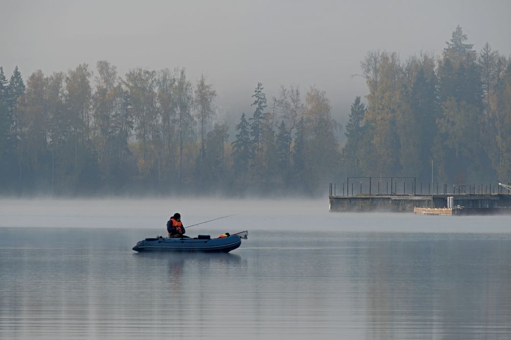 Photograph by Михаил Косолапов