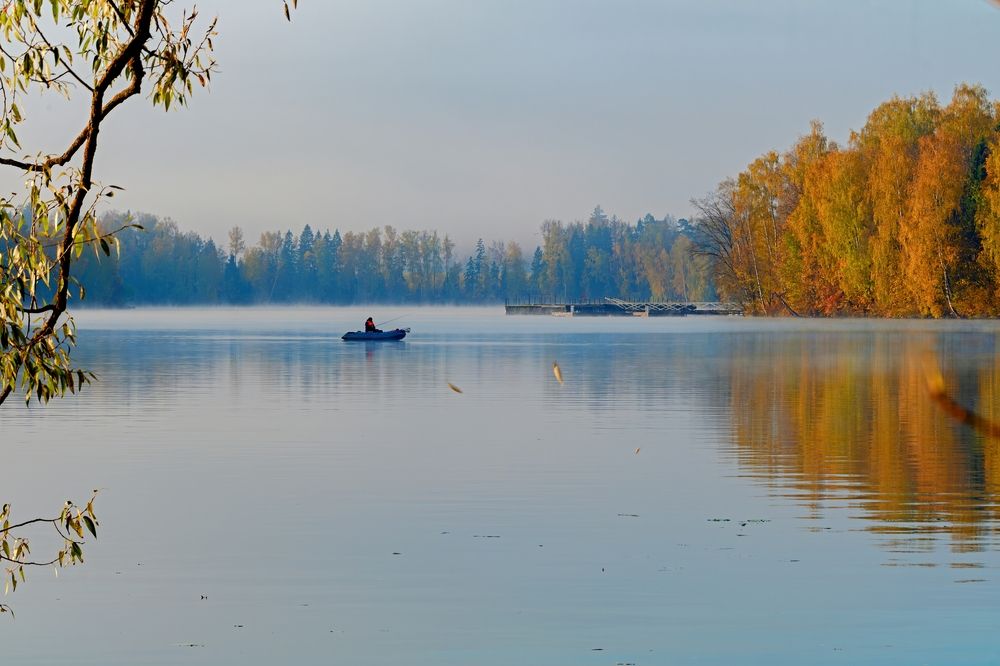 Photograph by Михаил Косолапов