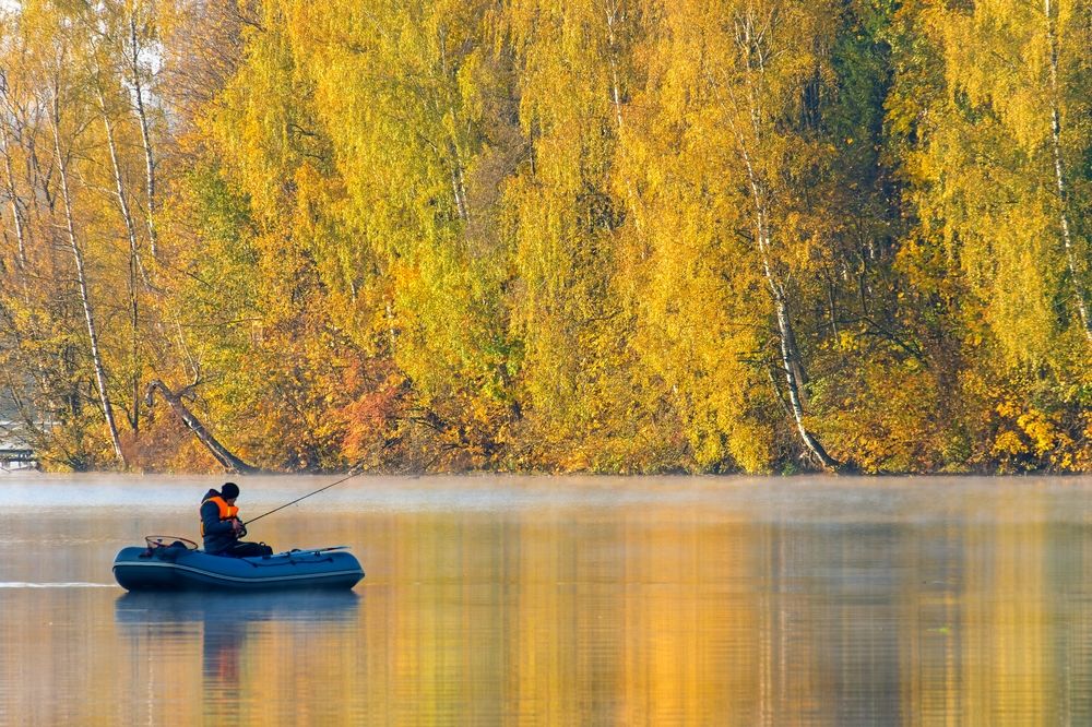 Photograph by Михаил Косолапов