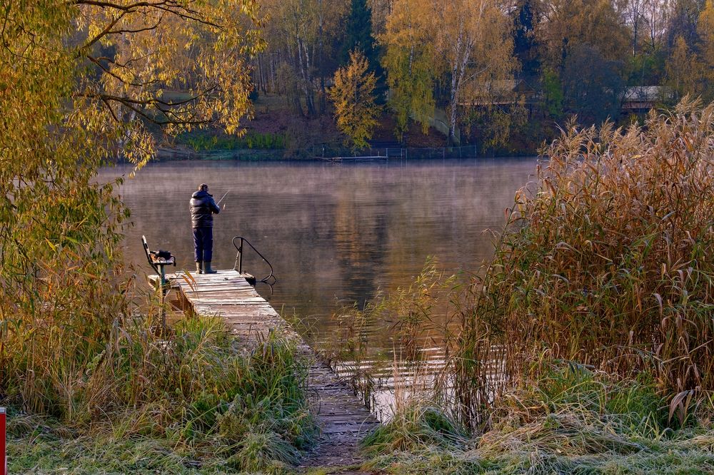 Photograph by Михаил Косолапов