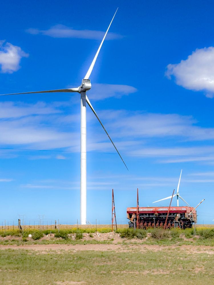 Photograph by Maria julieta ZURZOLO