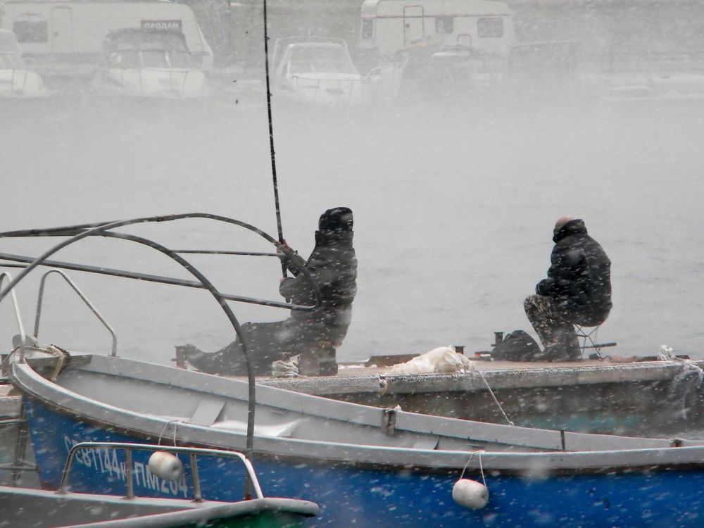 Photograph by Савоцкий Роман