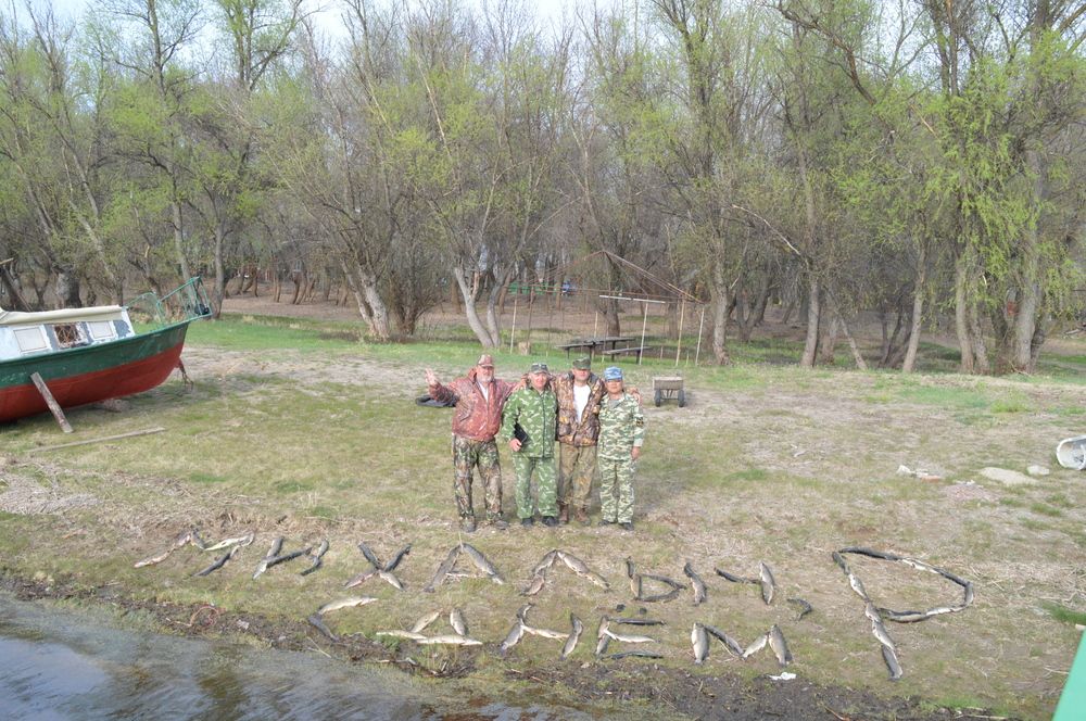 Photograph by Андрей Елькин