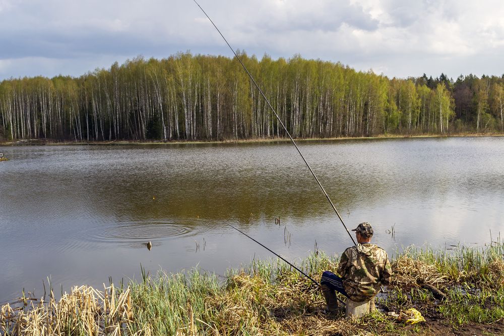 Photograph by Цветков Сергей