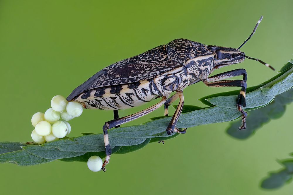 Photograph by Li Chen-You