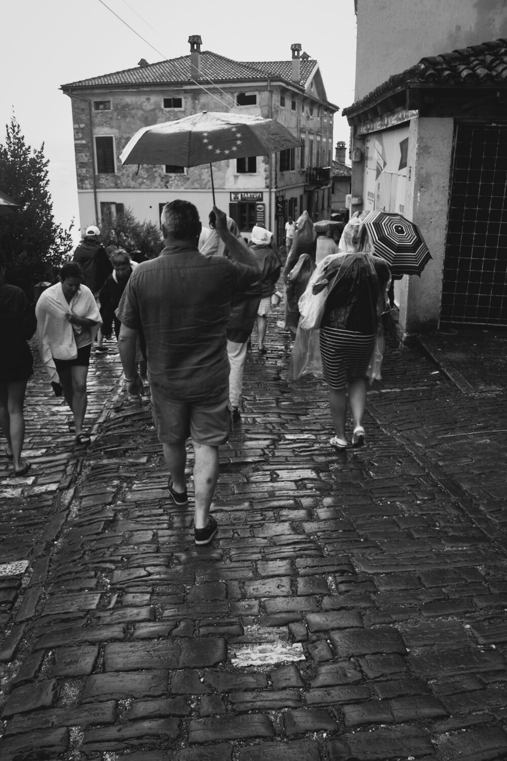Photo #12376984
