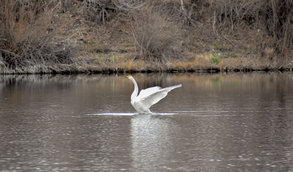 Photograph by Елена Манаева