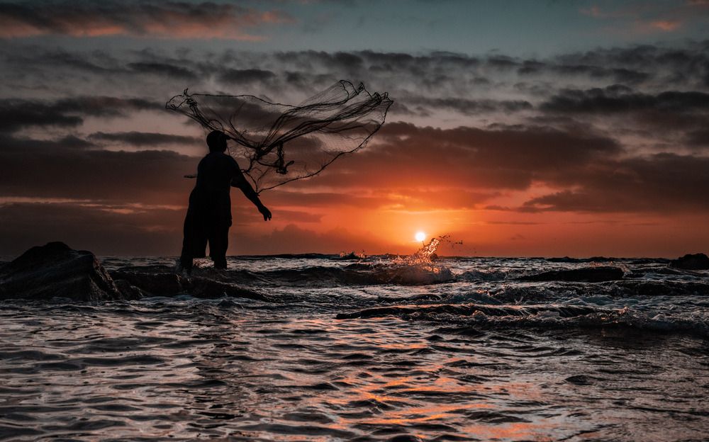 Photograph by Hayley van de Moortele