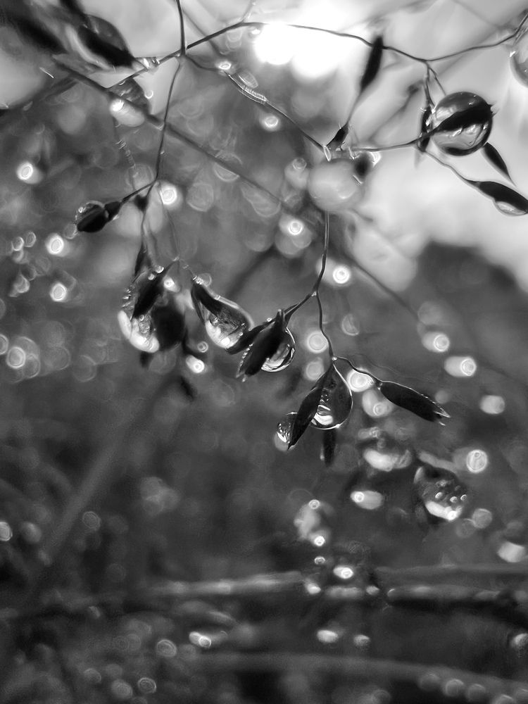 Photograph by Дмитрий Костяков