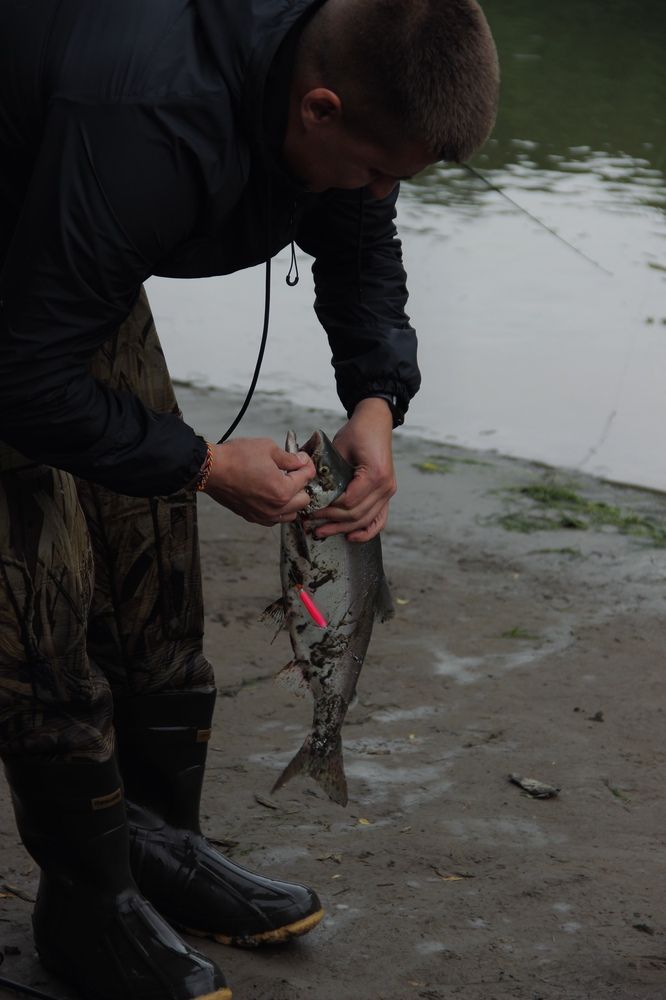 Фотография автора Эльза Завьялова