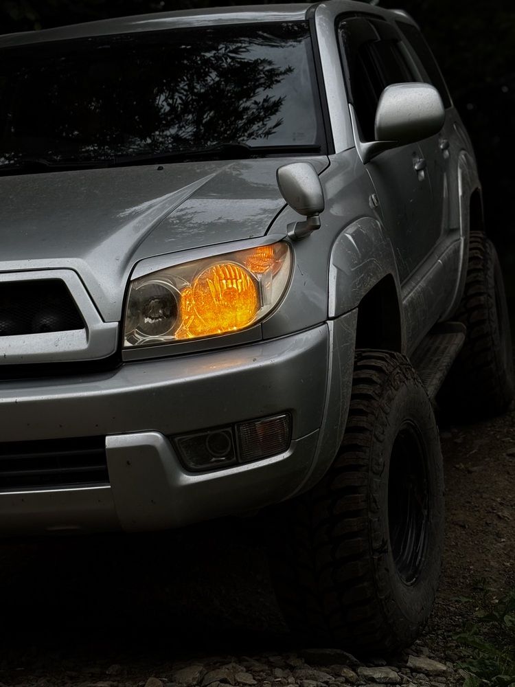 Фотография автора Эльза Завьялова