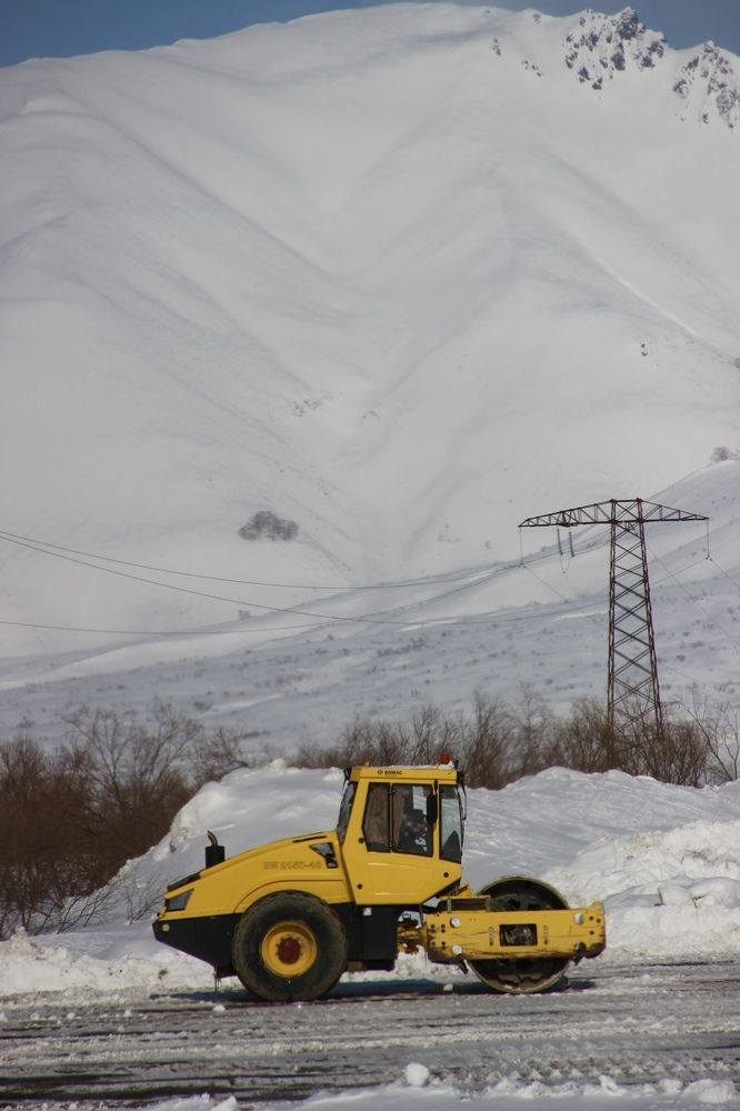Фотография автора Эльза Завьялова