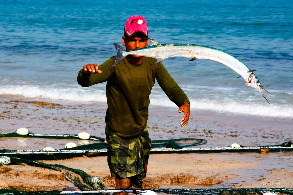 Photograph by Владимир Говоров