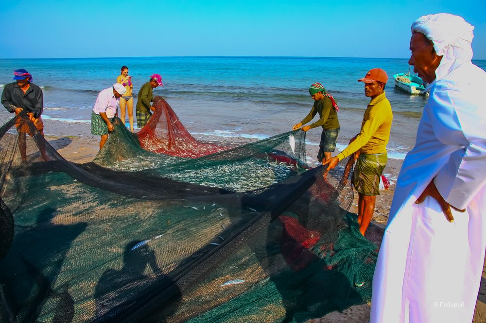 Photograph by Владимир Говоров