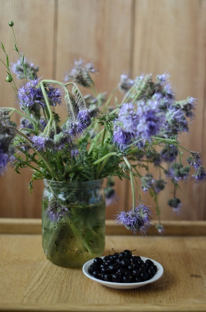 Фотография автора Ольга Жлоба