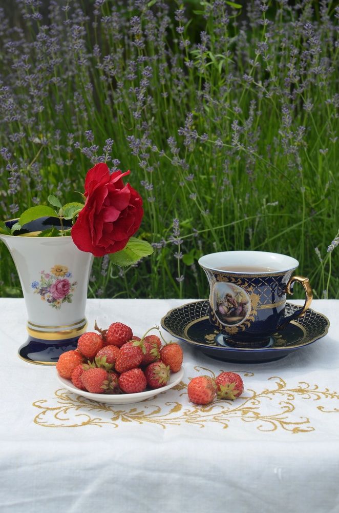 Фотография автора Ольга Жлоба