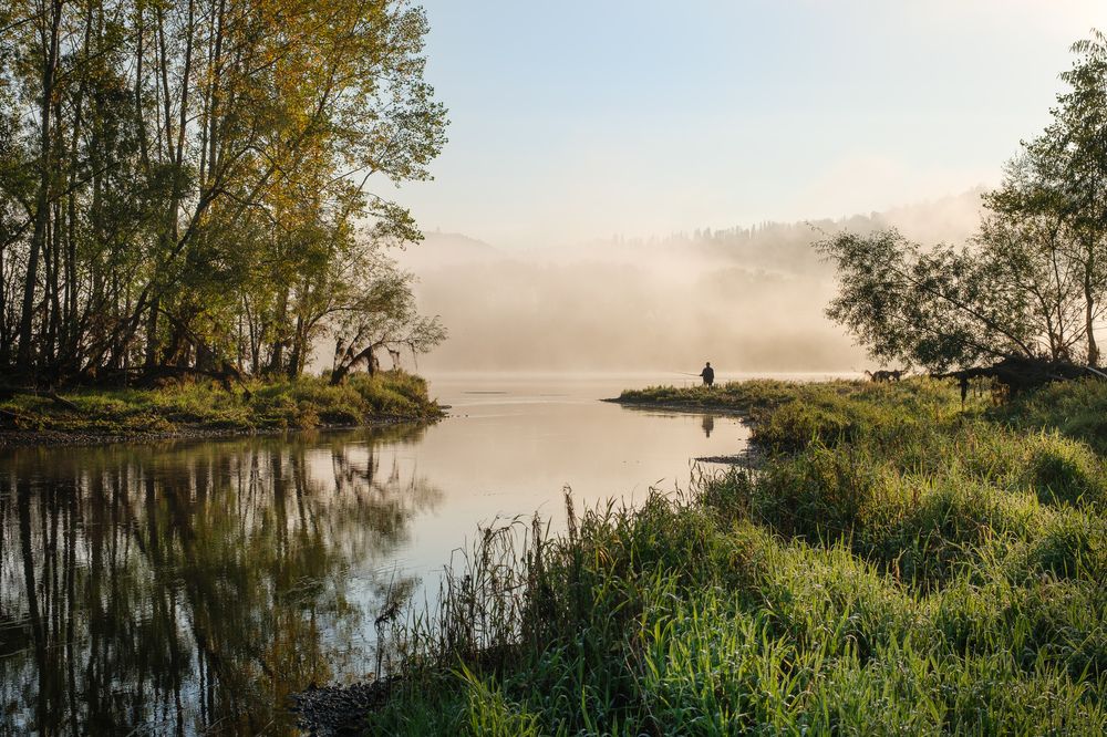 Photograph by Ирина Толокновская