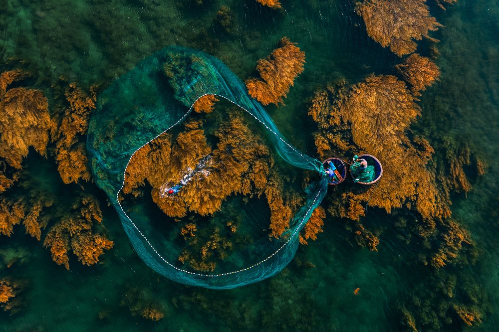 Photograph by Nghi Le