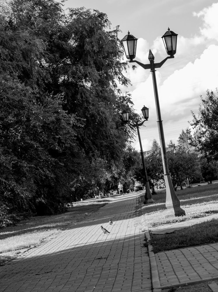Тень