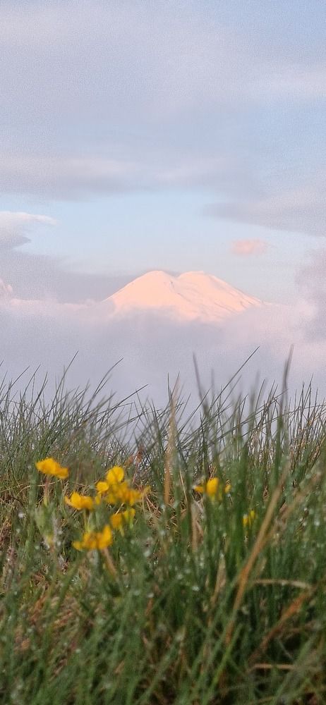 Photograph by Ирина Акулинина