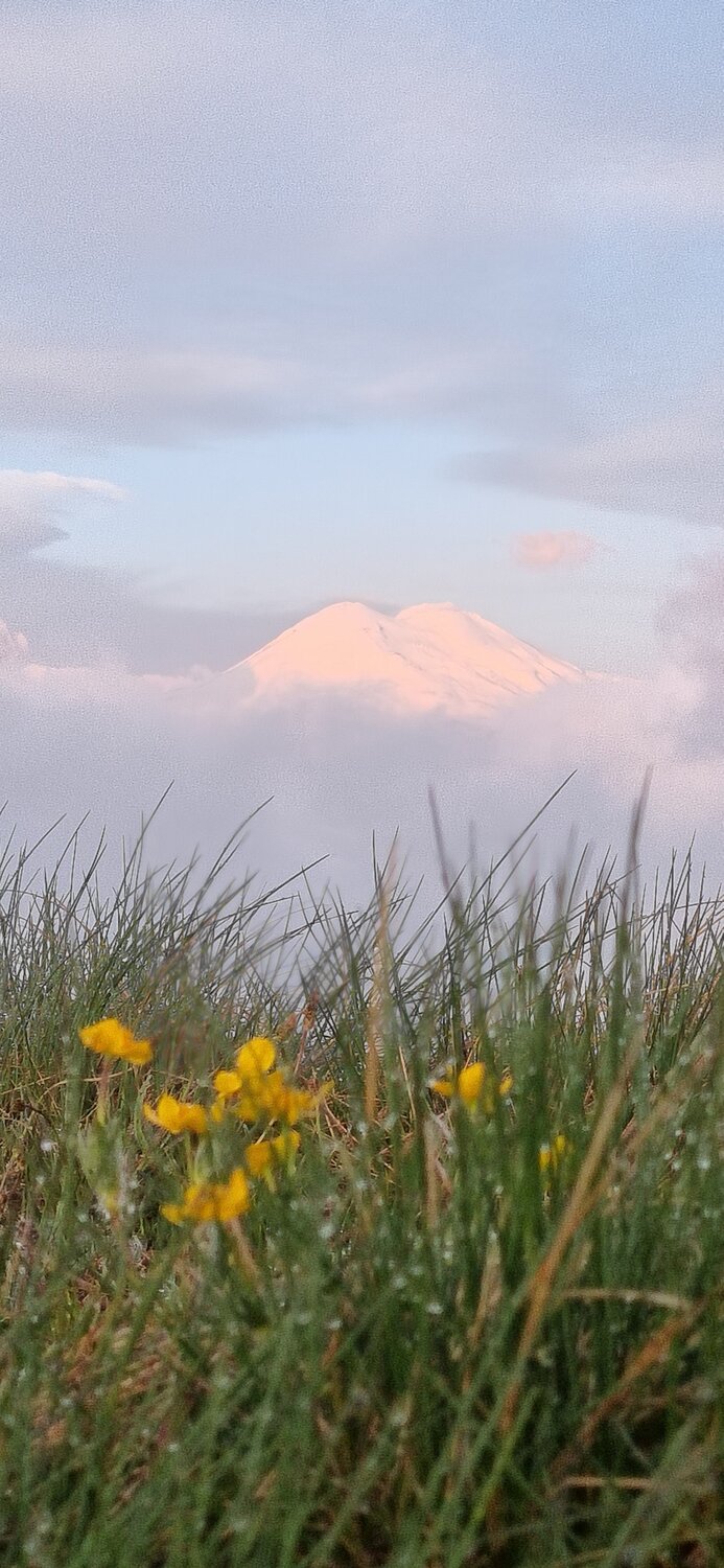 Photo #12377326