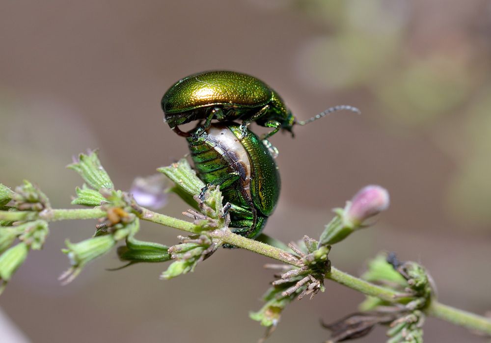 Photograph by Bekir Yesiltas
