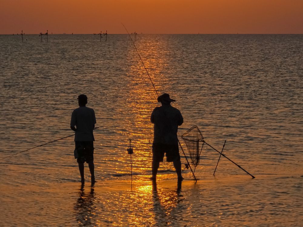 Photograph by Лариса Когтева