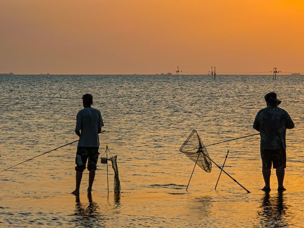 Photograph by Лариса Когтева