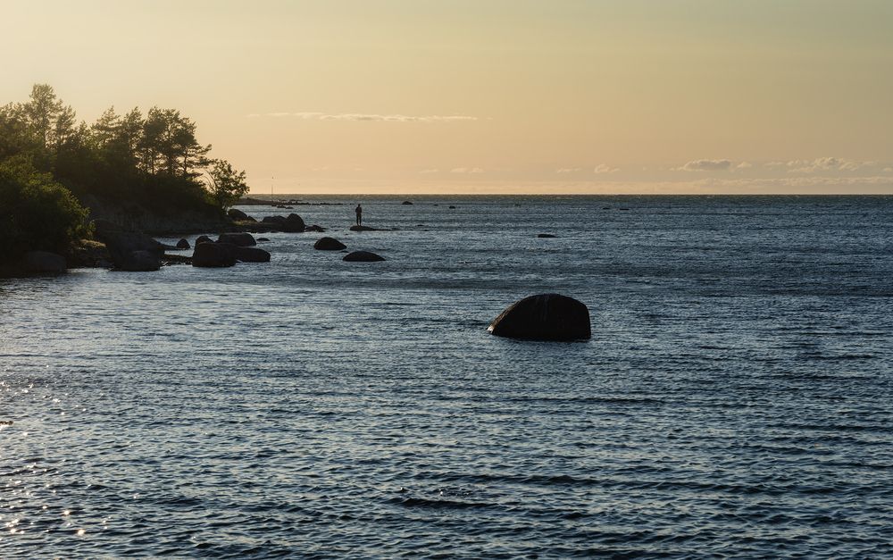 Фотография автора Pussa Vitaly