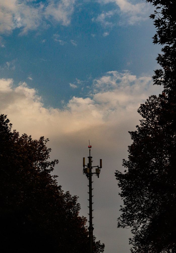 Photograph by Mehrad Mallaei