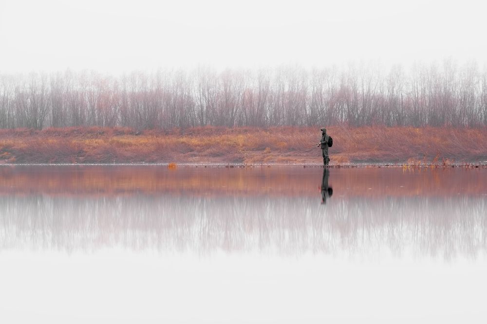 Photograph by Дмитрий Шавловский