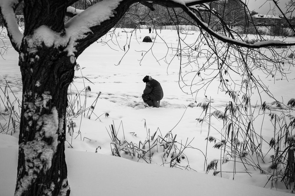 Photograph by Светлана Верзилина